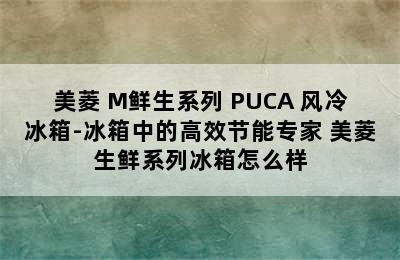 美菱 M鲜生系列 PUCA 风冷冰箱-冰箱中的高效节能专家 美菱生鲜系列冰箱怎么样